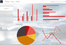 Screenshot showing some example charts